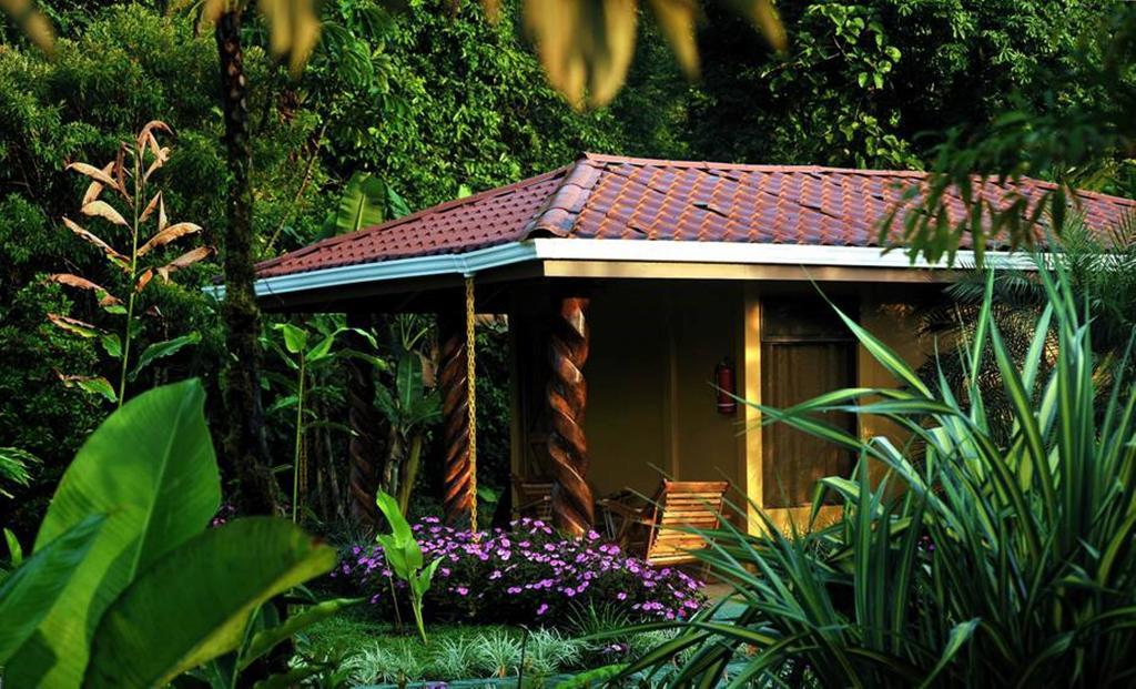 Hotel Catarata Rio Celeste Бихагуа Стая снимка