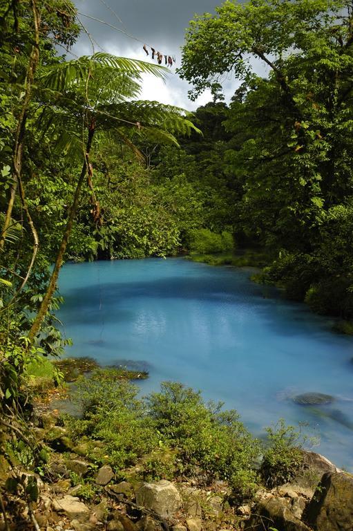 Hotel Catarata Rio Celeste Бихагуа Екстериор снимка
