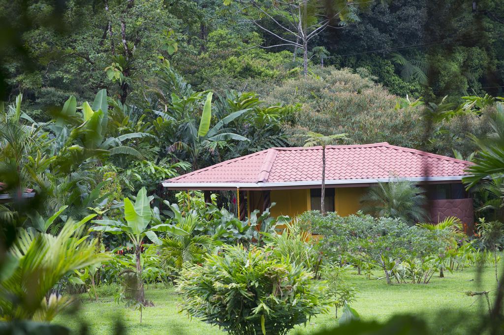 Hotel Catarata Rio Celeste Бихагуа Екстериор снимка