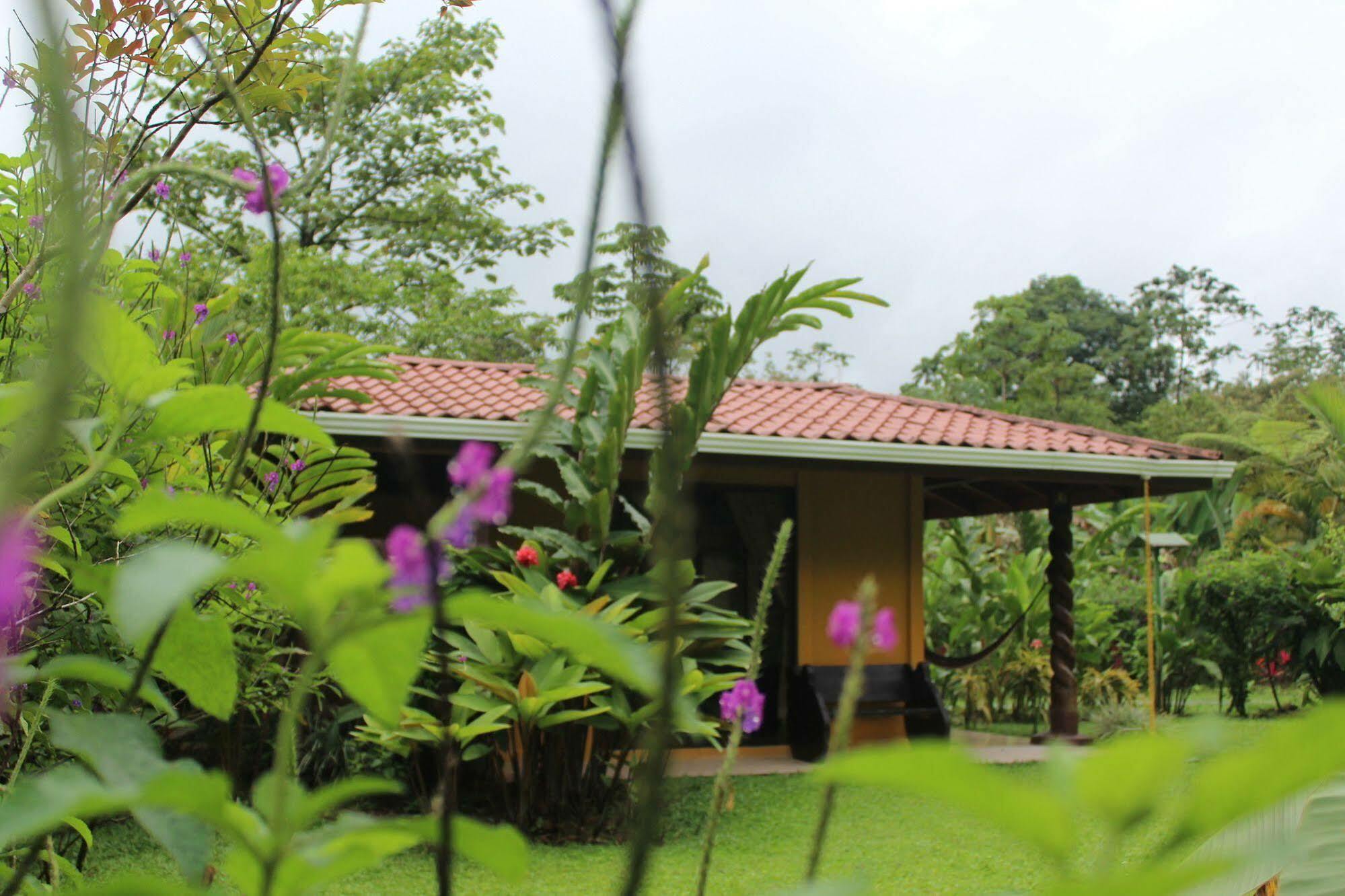 Hotel Catarata Rio Celeste Бихагуа Екстериор снимка
