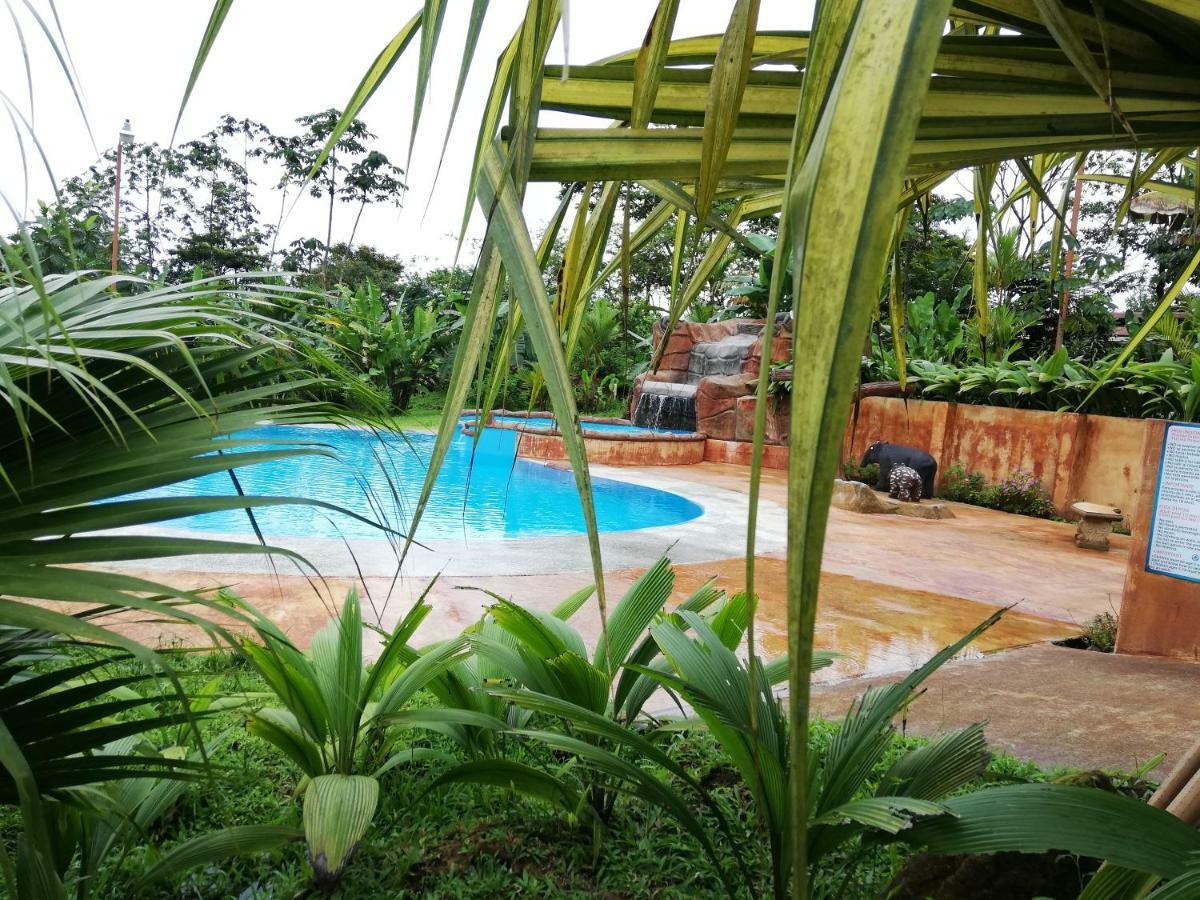 Hotel Catarata Rio Celeste Бихагуа Екстериор снимка