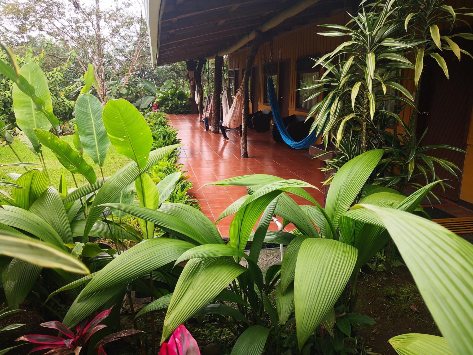 Hotel Catarata Rio Celeste Бихагуа Екстериор снимка